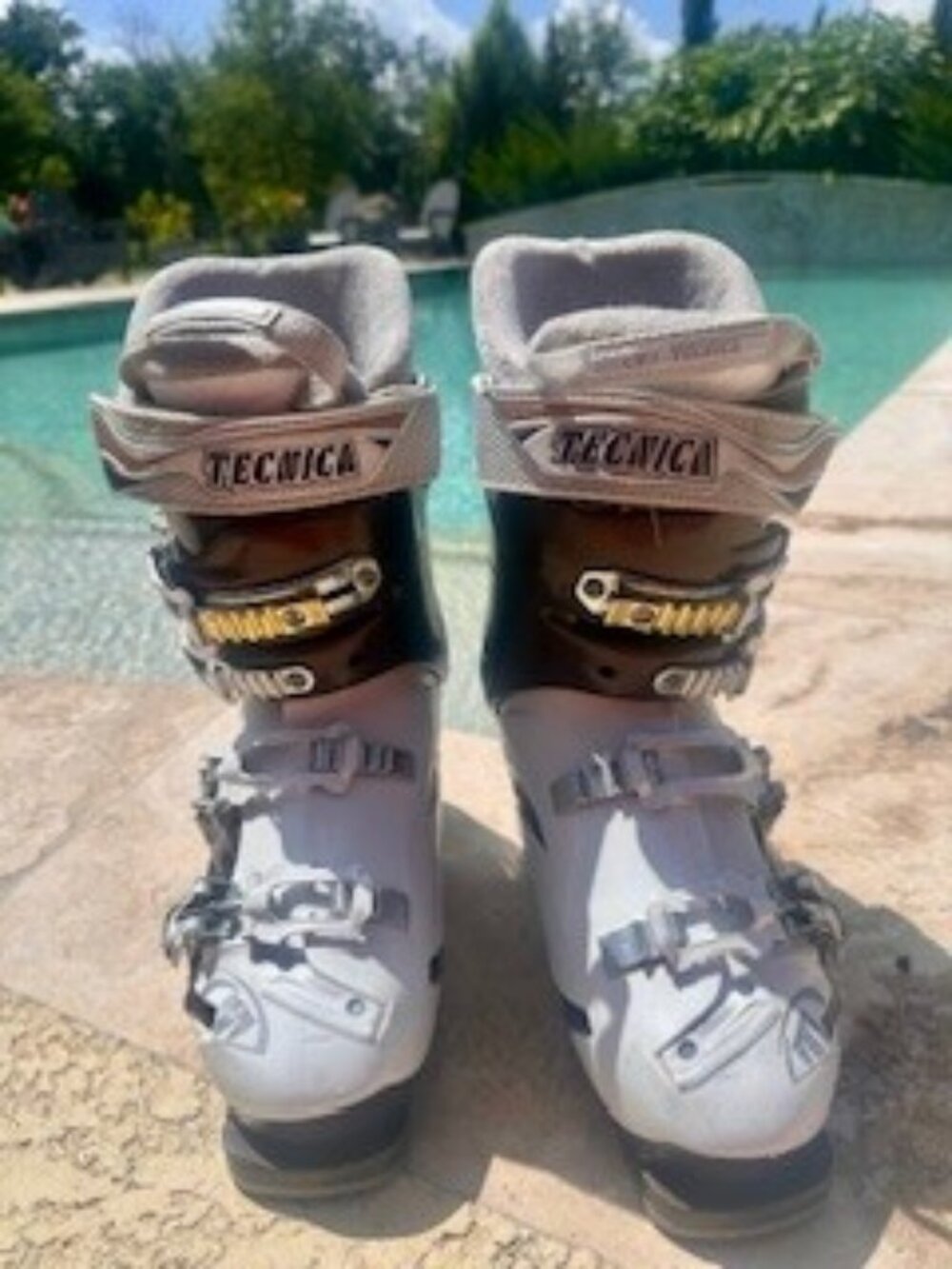Tecnica Viva Phoenix Air Shell Women's Ski Boots
